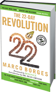 22-Day Revolution Book by Marco Borges