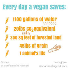 everyday a vegan saves