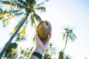 coconuts-for-beauty